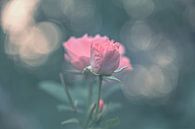 bloemen part 420 van Tania Perneel thumbnail
