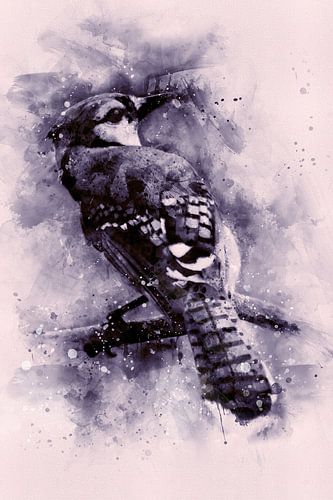 Blauwe Gaai, Aquarel van een vogel in blauw, paars en roze