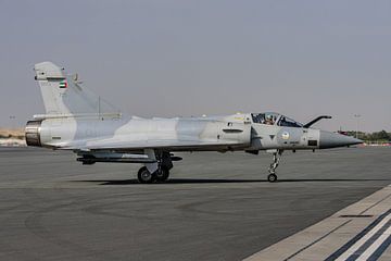 Dassault Mirage 2000-9 de l'UAEAF à BIAS. sur Jaap van den Berg