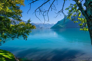 Brienzersee Zwitserland. van Gideon Onwezen