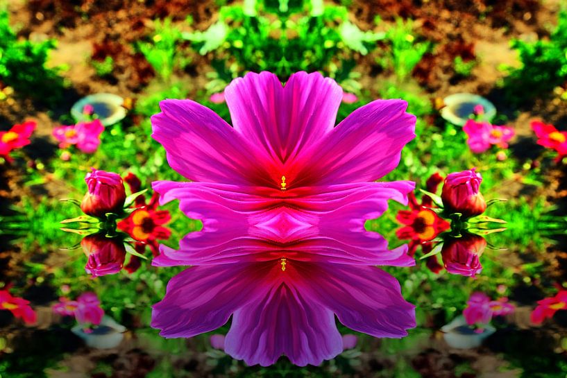 Cosméa 4 par Edgar Schermaul