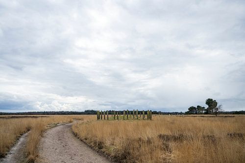 Natuurgebied de Regte Heide