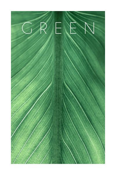 Green 03 by Christian Müringer