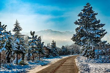 Schilderachtig Winter Wonder Land van Roland's Foto's