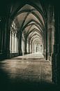 Medieval cloister by Jan van der Knaap thumbnail