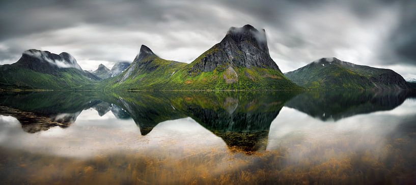 Steinfjorden Panorama von Wojciech Kruczynski