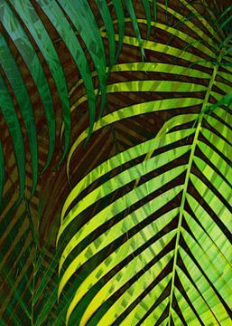 TROPICAL GREENERY LEAVES no8 sur Pia Schneider