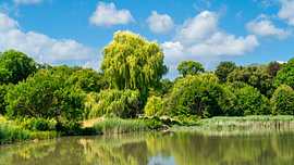 Vue sur le parc du château de Bendeleben sur Andreas Völkel