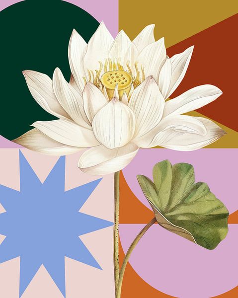 Shapes & Flowers by Marja van den Hurk