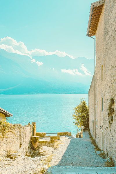 Dog Beach by Michael Schulz-Dostal
