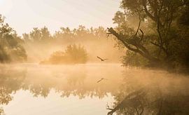 Mistige zonsopkomst  in de biesbosch von Rob Bout