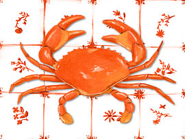 Crab von Marja van den Hurk