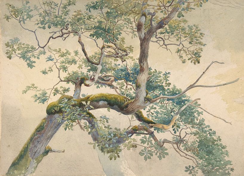 Tree Branches, Charles Reginald Aston by Masterful Masters
