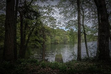 Melancholische plek in de natuur van Kim Weijland