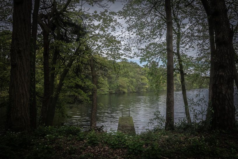 Melancholischer Ort in der Natur von Kim Weijland