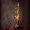 a golden autumn... by Els Fonteine
