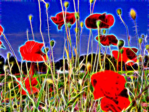 Neon papaver
