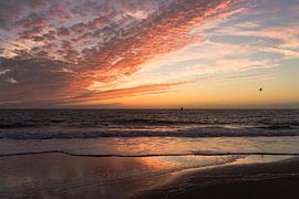 Sunset with angel wing / Sonnenuntergang mit Engelsflügel by Beate.fotopassie