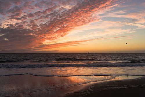 Zonsondergang met engelenvleugel / Sonnenuntergang mit Engelsflügel