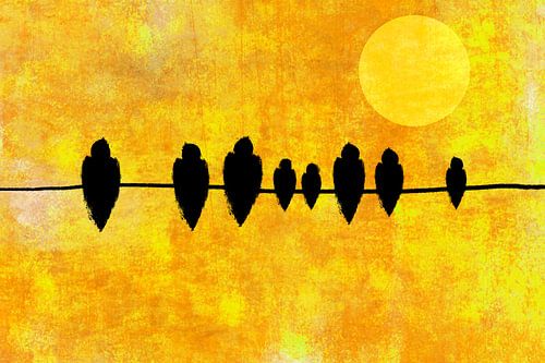 Vogels op een rijtje in het zonnetje