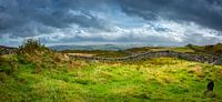 R.I.P. Ruhe in Frieden, hügelige Landschaft mit Grabstein, Wales von Rietje Bulthuis Miniaturansicht