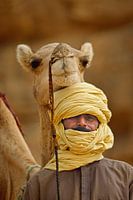 Wüste Sahara. Tuareg-Mann mit Kamel. Porträt.