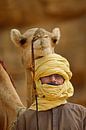 Wüste Sahara. Tuareg-Mann mit Kamel. Porträt. von Frans Lemmens Miniaturansicht