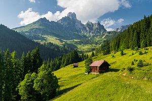 Hut in een alpenweide