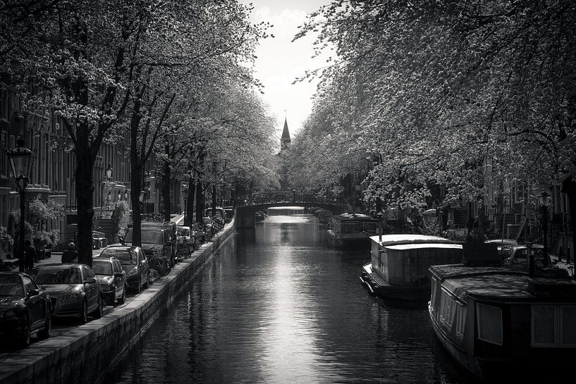 Ik krijg nog een titel von Iconic Amsterdam