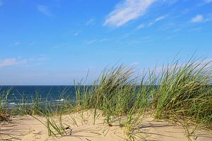 Duinen aan de Oostzee