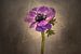 Sierlijke bloem - kroonanemoon | vintage stijl goud van Melanie Viola