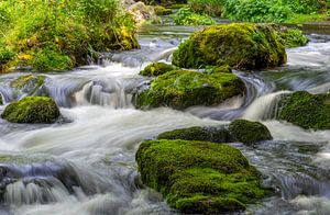 Rivier in het Triebtal Vogtland Cascade Natuur van Animaflora PicsStock