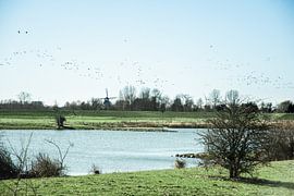 Typical Dutch landscape by Jan Willem De Vos