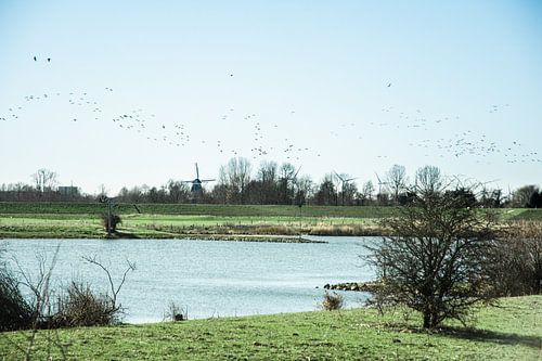 Typische niederländische Landschaft