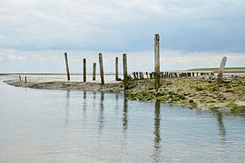 Harbour De Cocksdorp Texel by Cor de Hamer
