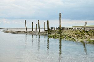Hafen De Cocksdorp Texel