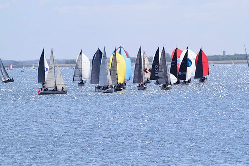 Zeilen op het Quackjes water 