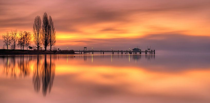 Lichtblick von Judith Kuhn