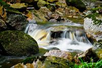 Zwischen den Felsen | Tussen de rotsen