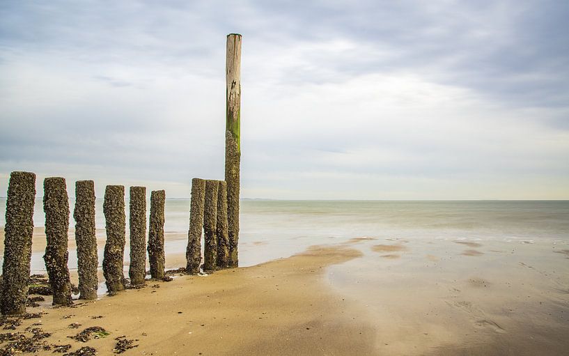 Wide by Friedhelm Peters