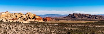Panorama woestijnlandschap Red Rock Canyon in Nevada USA van Dieter Walther