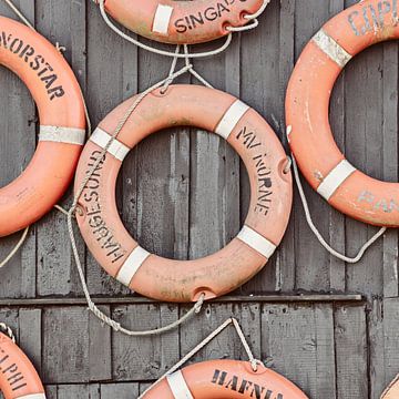 Lifebuoys on Schiermonnikoog by Ron van der Stappen
