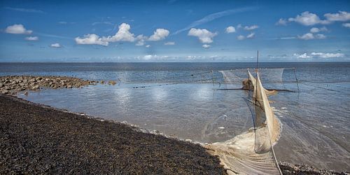 Vissen bij Lauwersoog