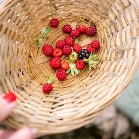 Zomerfruit van Sabine Gaastra