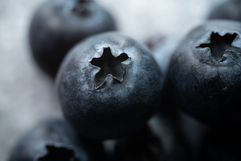Blueberry by Christoph Rutenkolk Gallery