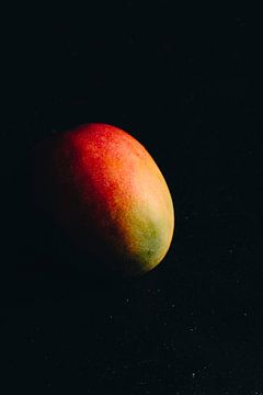 Mangos von Marie Ndiaye