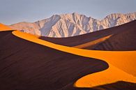 Landscape with red sand dunes in the Namib desert by Chris Stenger thumbnail