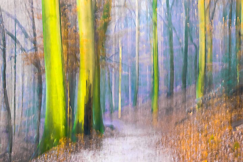 Modern Abstract, herfst Zonsondergang in het bos van Caroline Drijber