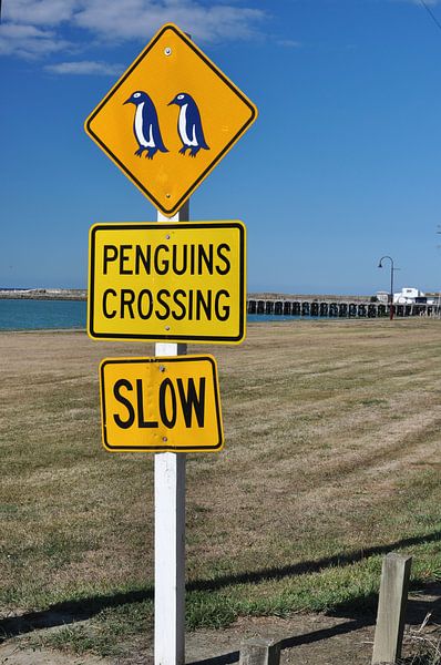 Ungewöhnliche Beschilderung: Pinguine in Oamaru von Frank Photos