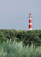 Lighthouse in Ameland